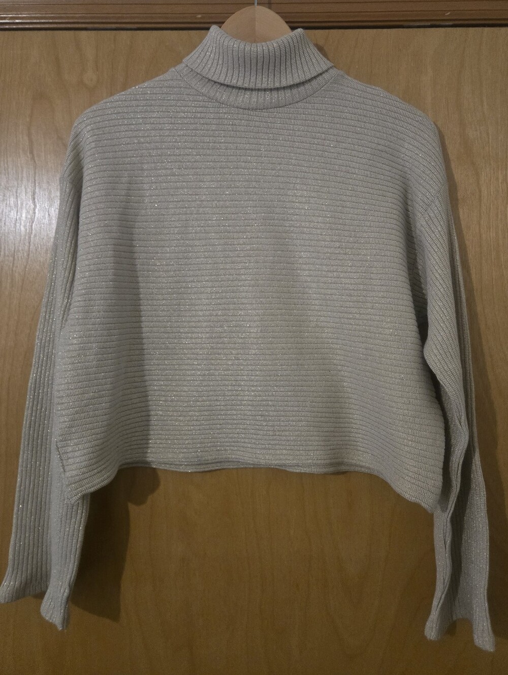 Zara Cropped Beige With Gold Sparkles  Turtleneck Sweater Size S